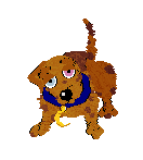 An image of Sunny II, a Mixie resembling a Dachshund, in Petz. She is an orange, fluffy dog with red spots and a red left ear, one pink eye, and one light blue eye. She is wearing a blue collar with a gold moon charm. She stands with her head tilted.